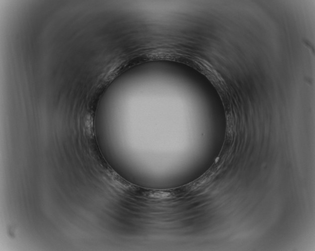 X0000091880669200709051016