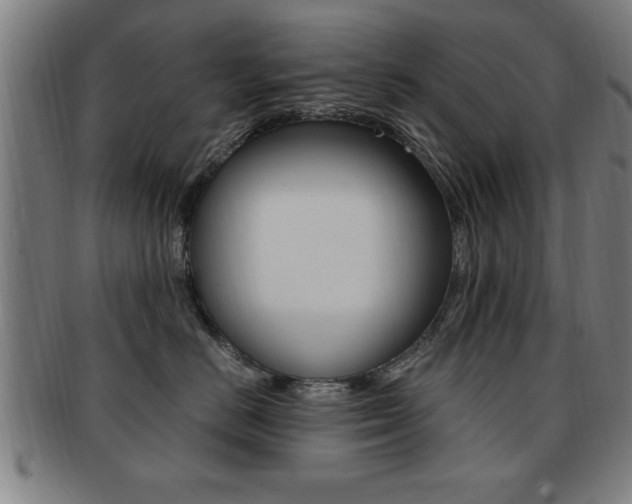 X0000091880670200709051016