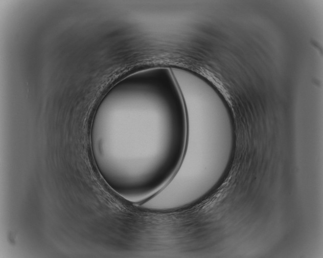 X0000091880673200709051015
