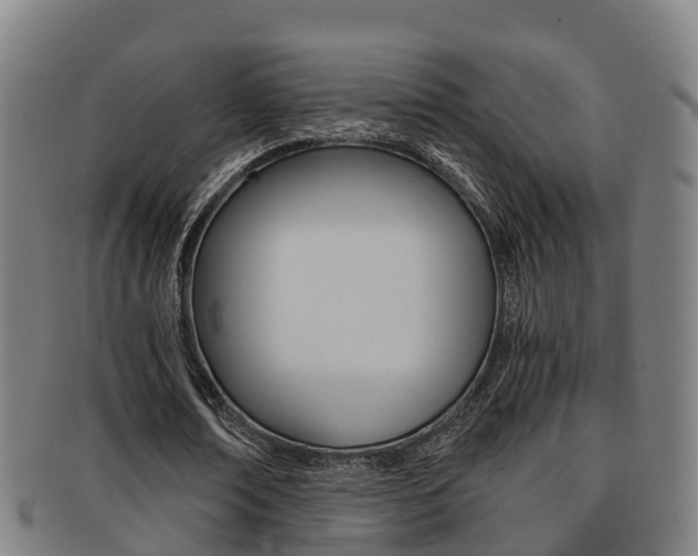 X0000091880674200709051015
