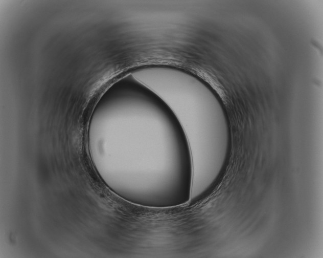 X0000091880675200709051015