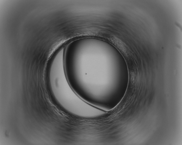 X0000091880676200709051015