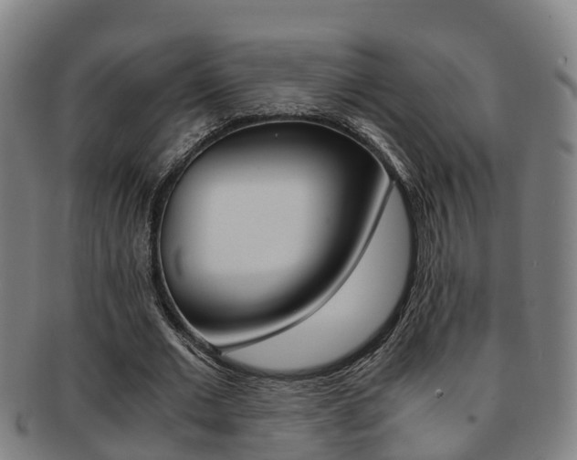 X0000091880677200709051015