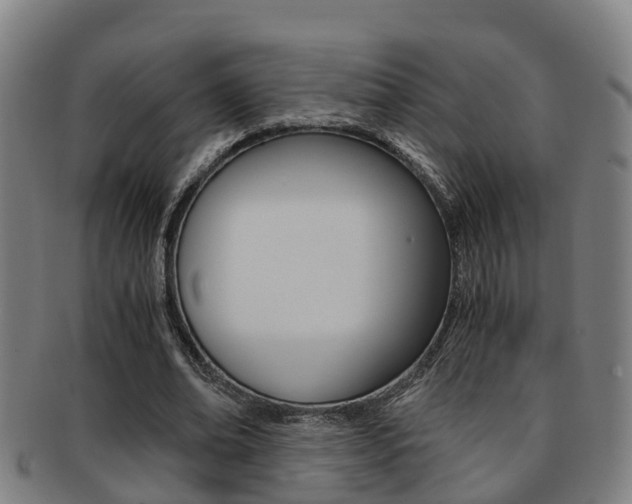 X0000091880678200709051015