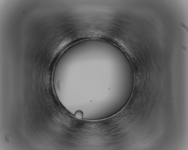 X0000091880679200709051015