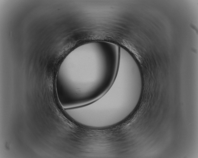 X0000091880681200709051015