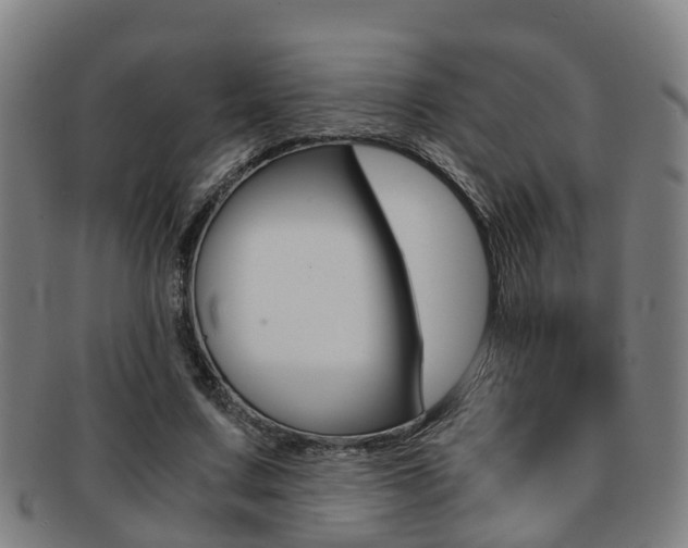 X0000091880683200709051015