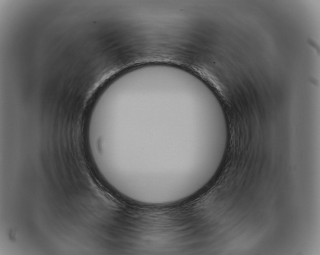 X0000091880684200709051015