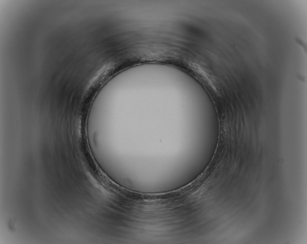X0000091880686200709051015