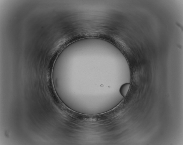 X0000091880687200709051015