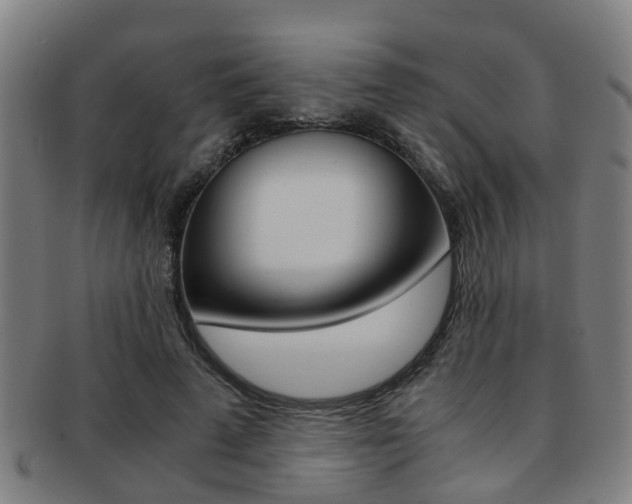 X0000091880689200709051015