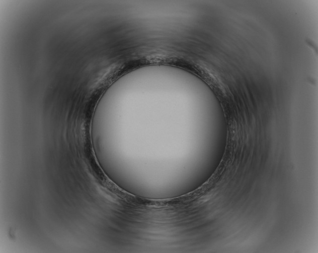 X0000091880690200709051015