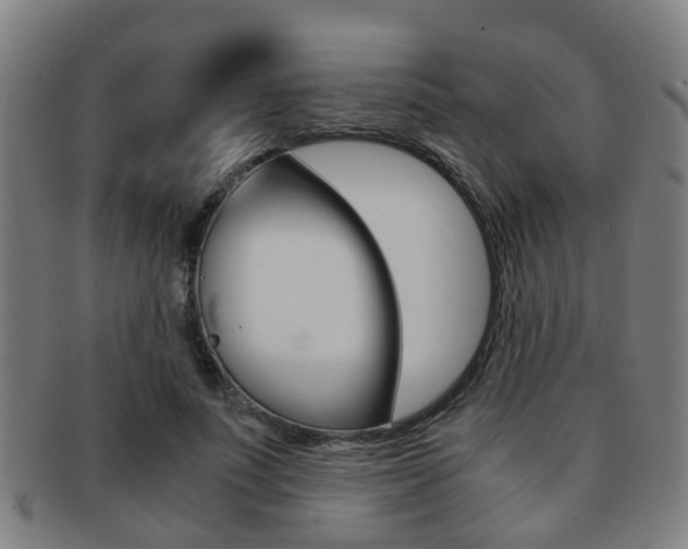 X0000091880691200709051015