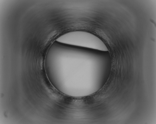 X0000091880694200709051015