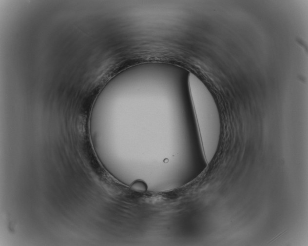 X0000091880695200709051015