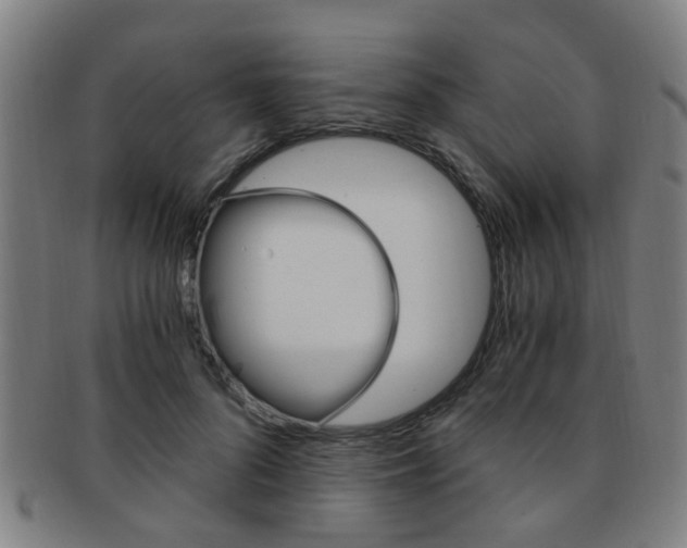 X0000091880696200709051015