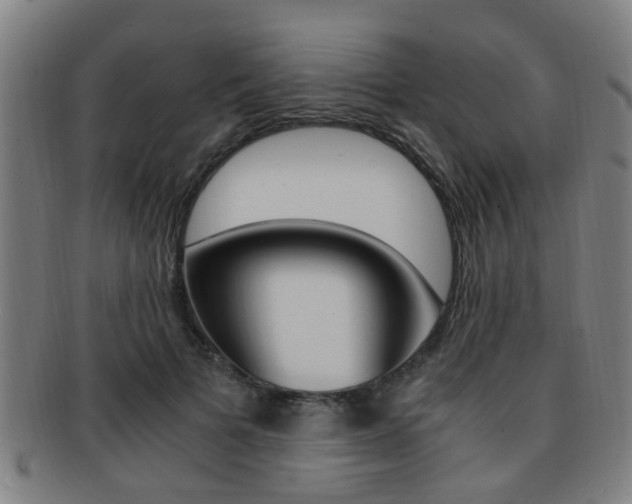 X0000091880697200709051015