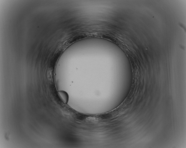 X0000091880699200709051015