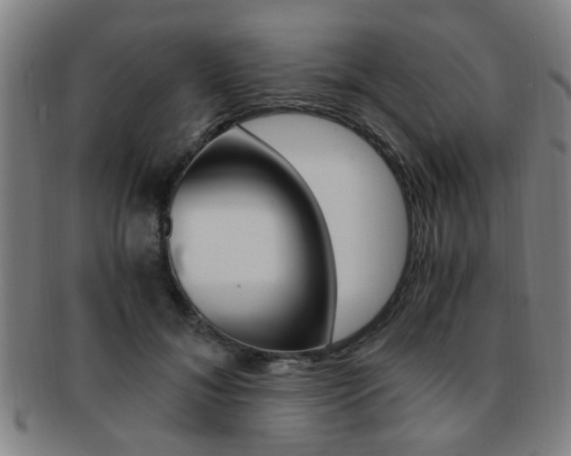 X0000091880700200709051015