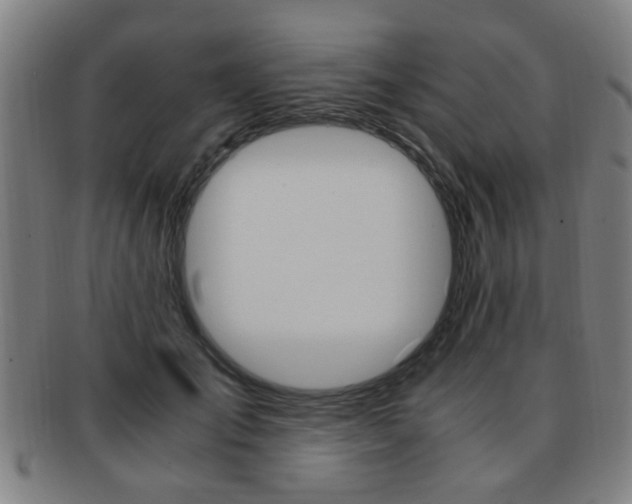 X0000091880701200709051015