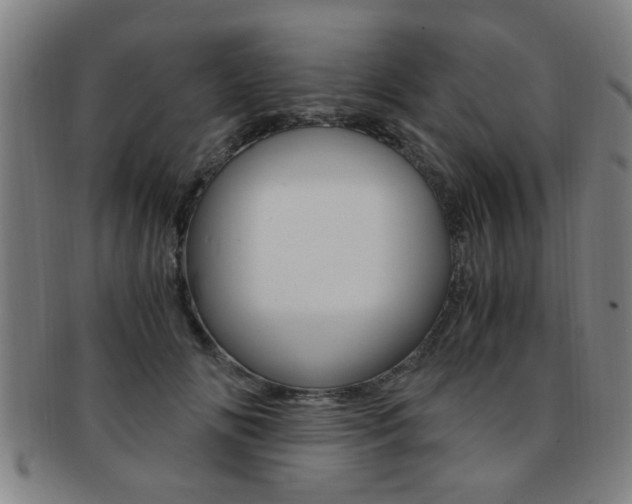X0000091880702200709051015