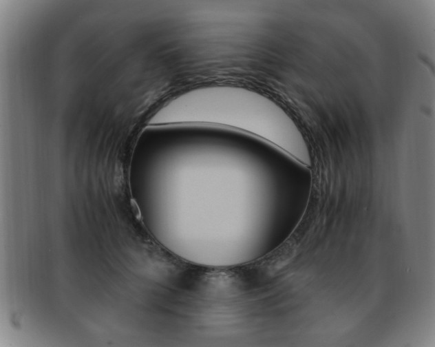 X0000091880704200709051015