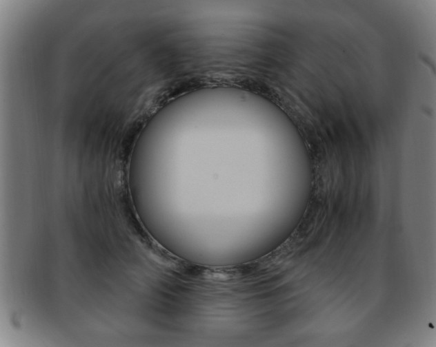 X0000091880706200709051015