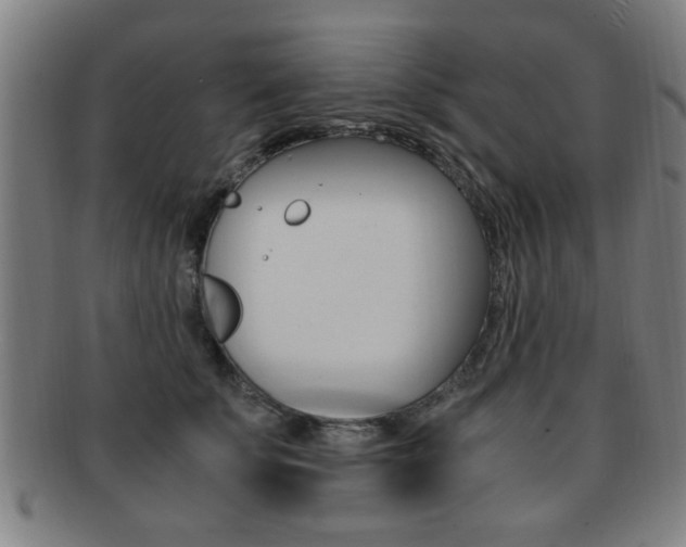 X0000091880707200709051015