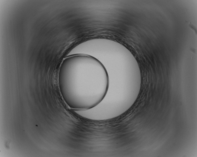 X0000091880708200709051015