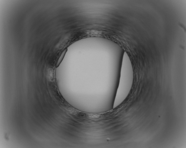 X0000091880709200709051015