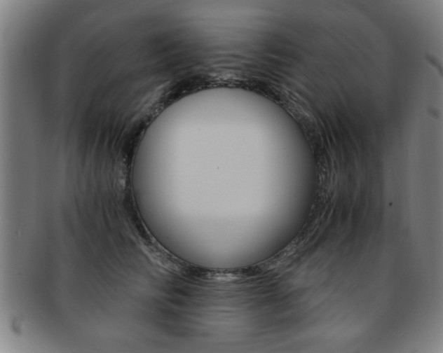 X0000091880710200709051015