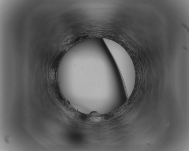 X0000091880711200709051015