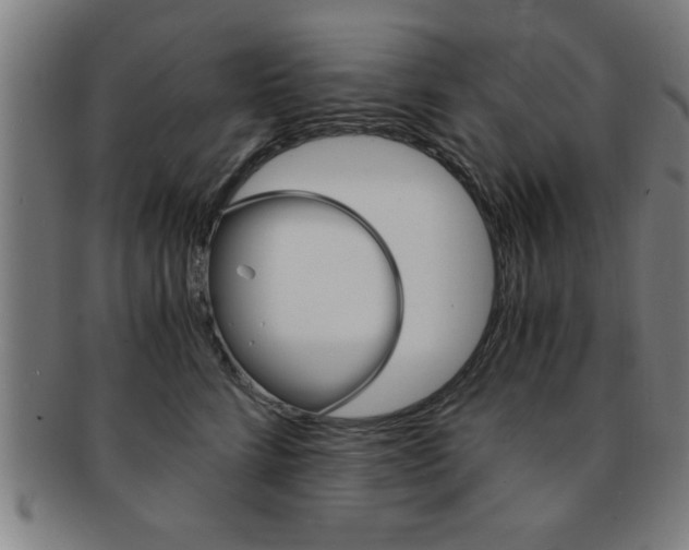 X0000091880712200709051015