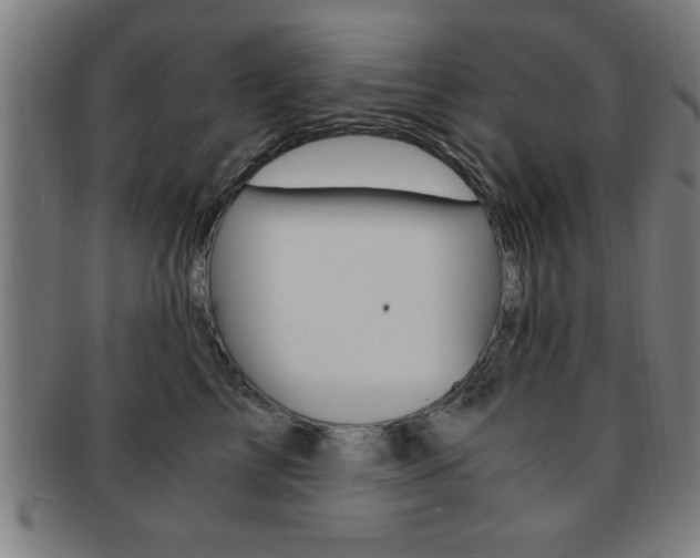 X0000091880713200709051015