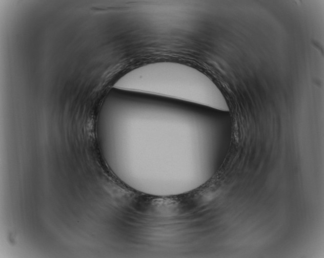 X0000091880714200709051015