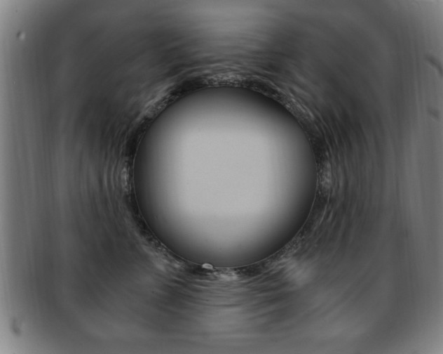 X0000091880715200709051015