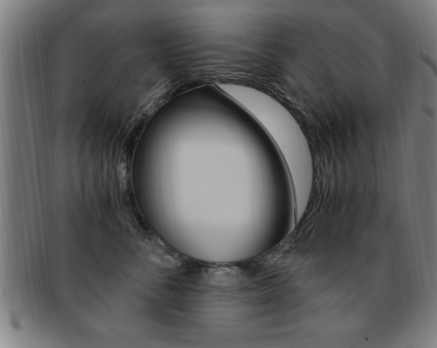 X0000091880716200709051015