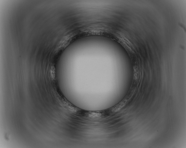 X0000091880718200709051014
