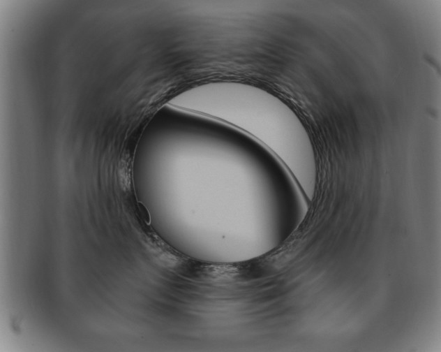 X0000091880719200709051014