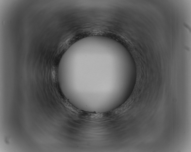X0000091880720200709051014
