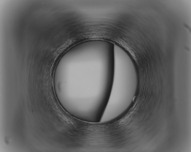 X0000091880721200709051014