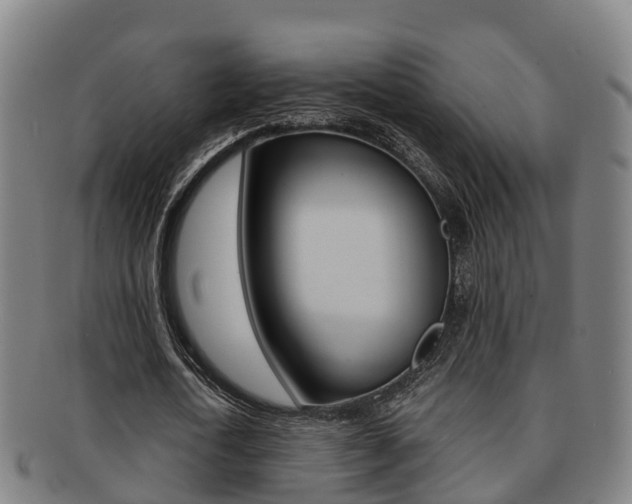 X0000091880722200709051014