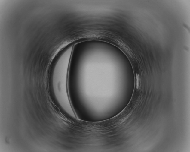 X0000091880723200709051014