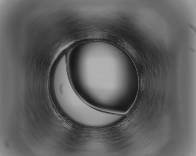 X0000091880724200709051014