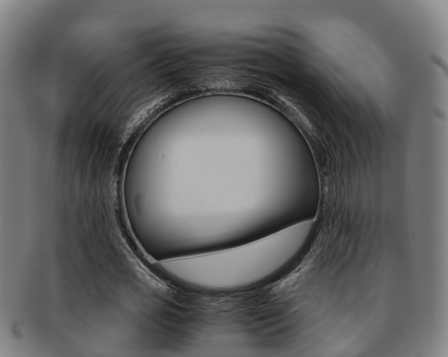X0000091880725200709051014