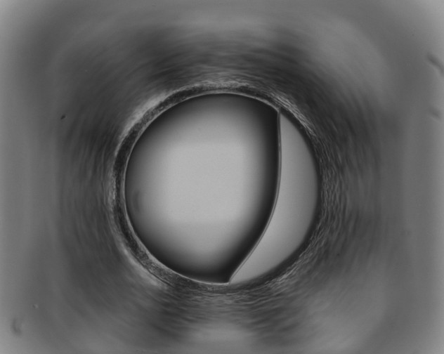 X0000091880726200709051014