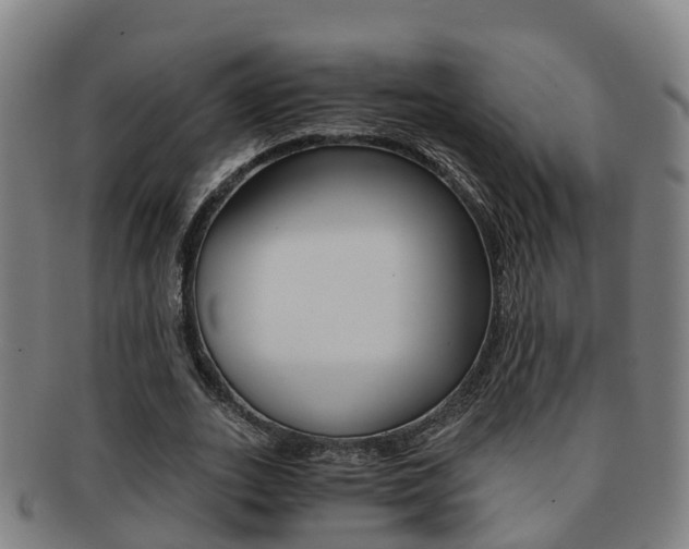 X0000091880727200709051014