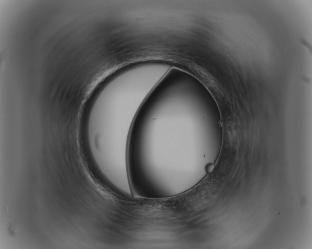 X0000091880728200709051014