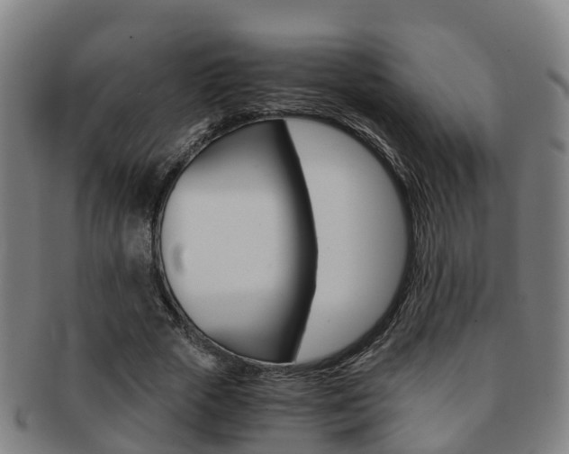 X0000091880729200709051014