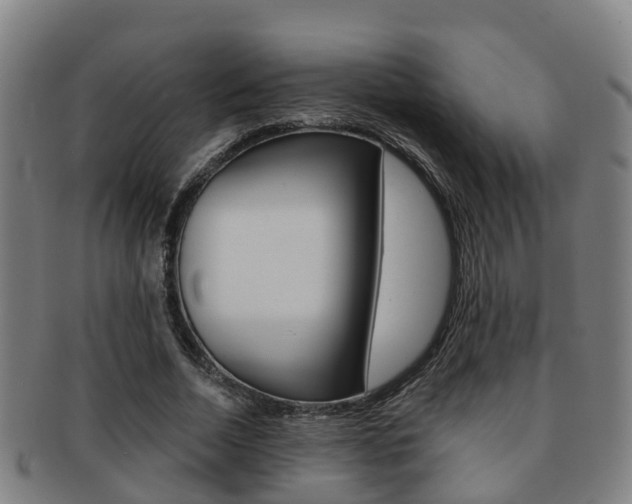 X0000091880730200709051014